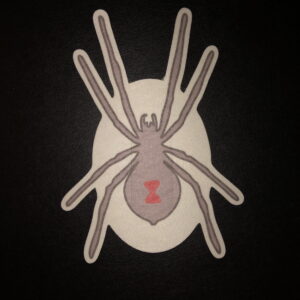 Black Widow Spider Designed precut adhesive patch to secure all diabetic devices