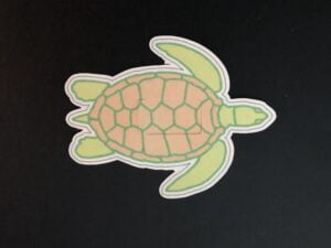 Sea Turtle Designed precut adhesive patch to secure all diabetic devices