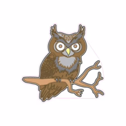 Owl Designed precut adhesive patch to secure all diabetic devices