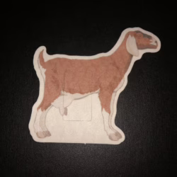 Goat Designed precut adhesive patch to secure all diabetic devices