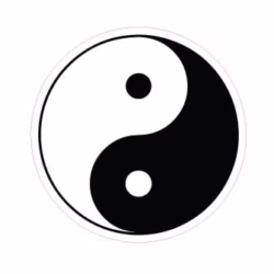 Yin and Yang Designed precut adhesive patch to secure all diabetic devices