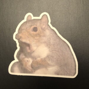 Nutty Squirrel Designed precut adhesive patch to secure all diabetic devices