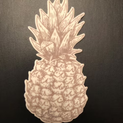 Pineapple Designed precut adhesive patch to secure all diabetic devices