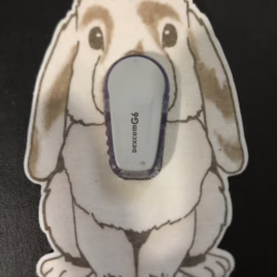 Lop Bunny Designed precut adhesive patch to secure all diabetic devices