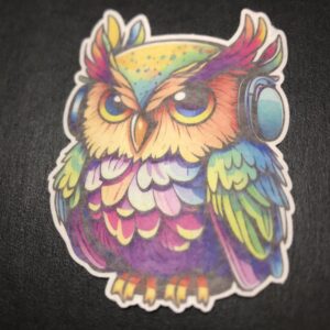Funky Owl Designed precut adhesive patch to secure all diabetic devices