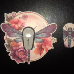 Dragonfly Floral Designed precut adhesive patch to secure all diabetic devices G6