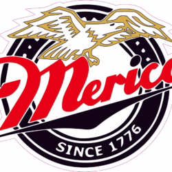 Merica Designed precut adhesive patch to secure all diabetic devices